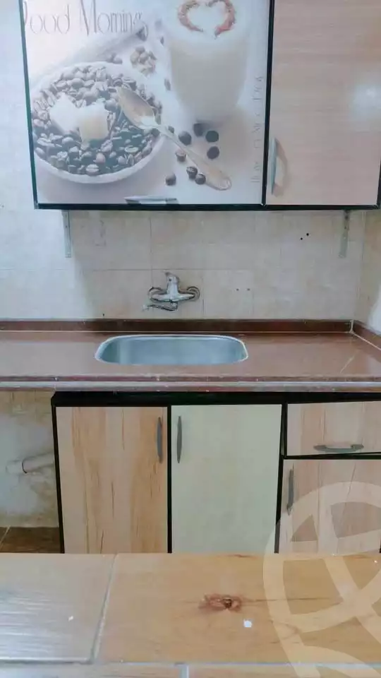 https://aqarmap.com.eg/en/listing/5828601-for-sale-alexandria-l-jmy-lbytsh-al-aeda-al-kadema-st