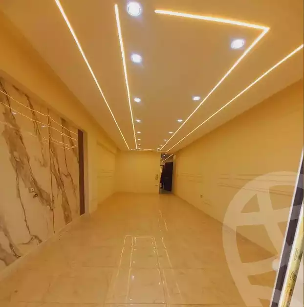 https://aqarmap.com.eg/ar/listing/5836325-for-sale-alexandria-l-jmy-lbytsh-al-kaada-st