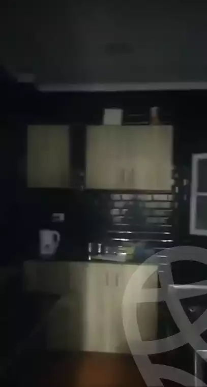https://aqarmap.com.eg/en/listing/5837977-for-rent-cairo-nasr-city-hassan-el-mamoon