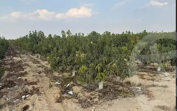 https://aqarmap.com.eg/en/listing/5838070-for-sale-beheira-new-nubariya