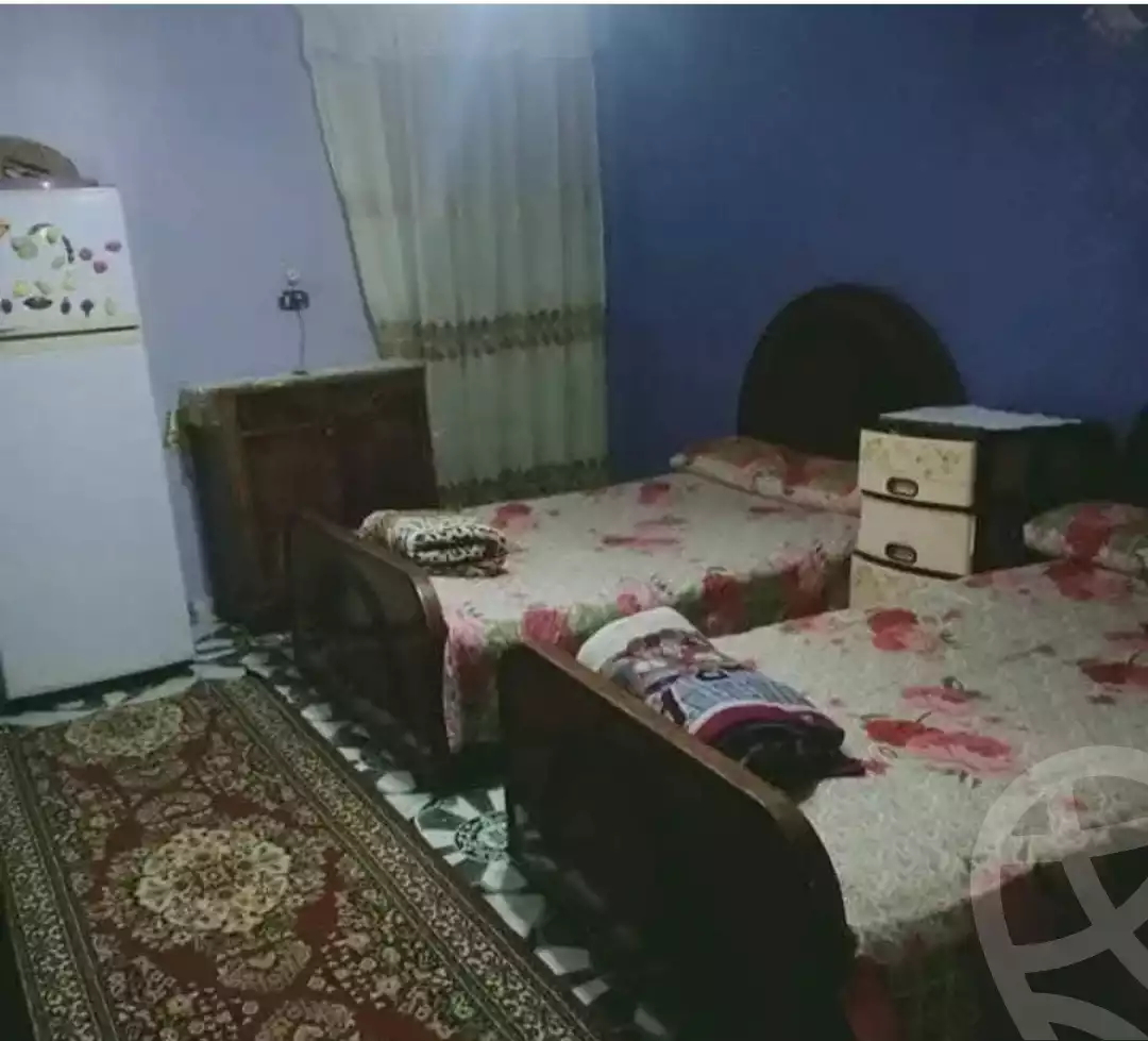 https://aqarmap.com.eg/en/listing/5841708-for-sale-alexandria-l-jmy-lbytsh-princess-st