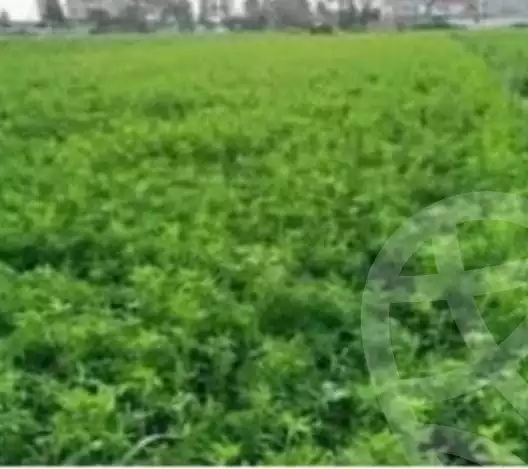 https://aqarmap.com.eg/ar/listing/5844372-for-sale-qalyubia-tokh-tokh-city