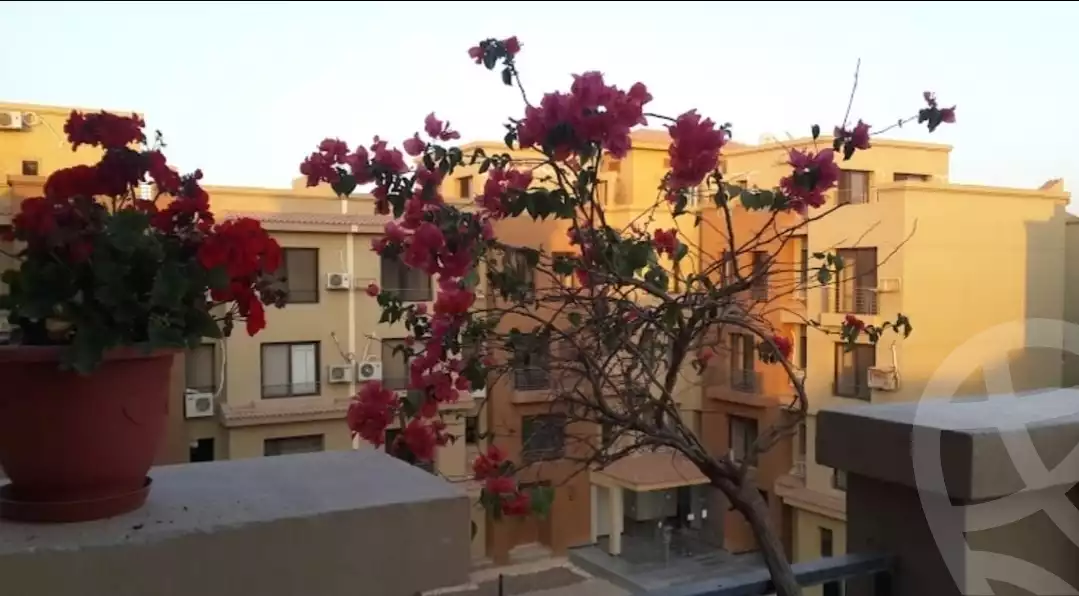 https://aqarmap.com.eg/en/listing/5841088-for-rent-cairo-el-sheikh-zayed-city-compounds-casa