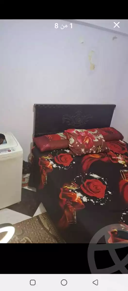 https://aqarmap.com.eg/en/listing/5846777-for-sale-alexandria-l-jmy-lbytsh-princess-st