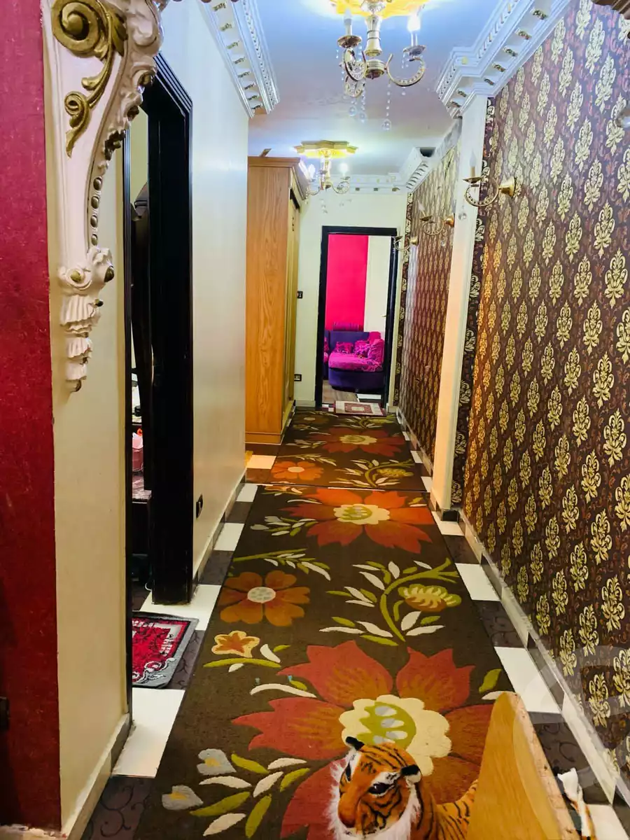 https://aqarmap.com.eg/en/listing/5847805-for-sale-alexandria-l-jmy-lbytsh-qased-kareem-st