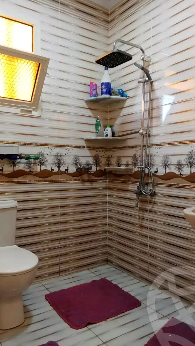 https://aqarmap.com.eg/en/listing/5850991-for-sale-alexandria-l-jmy-lbytsh-princess-st
