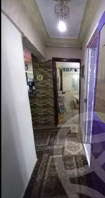 https://aqarmap.com.eg/ar/listing/5851707-for-sale-alexandria-l-jmy-lbytsh-al-samalehy-1-st