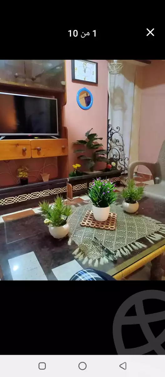 https://aqarmap.com.eg/ar/listing/5861200-for-sale-alexandria-l-jmy-lbytsh-bianchiii