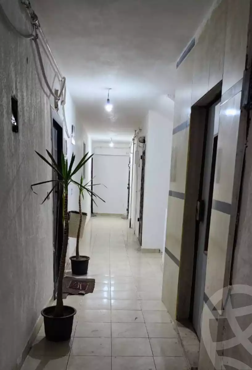 https://aqarmap.com.eg/en/listing/5862877-for-sale-alexandria-l-jmy-bw-ywsf