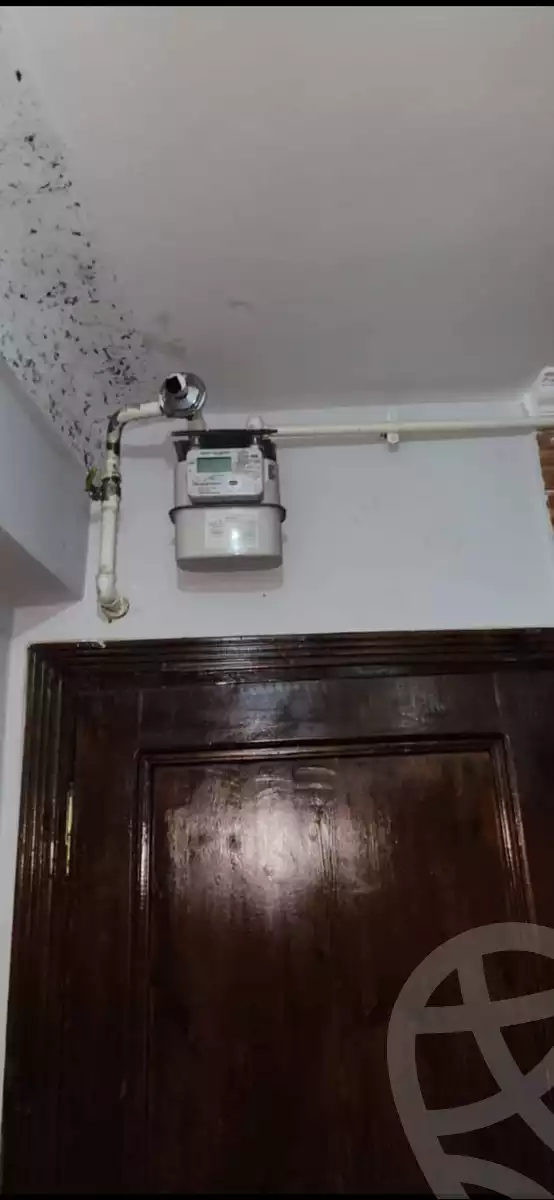 https://aqarmap.com.eg/en/listing/5862877-for-sale-alexandria-l-jmy-bw-ywsf
