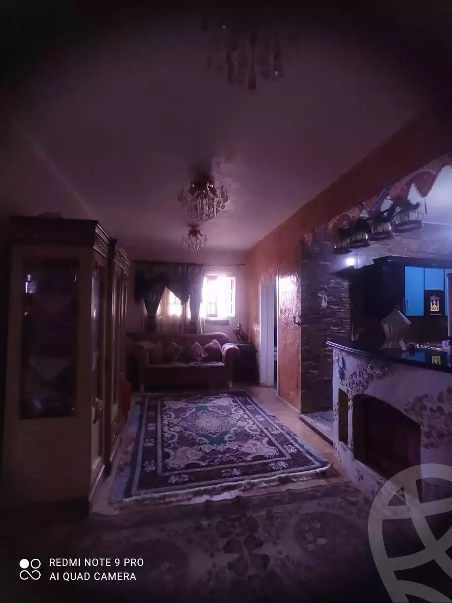 https://aqarmap.com.eg/en/listing/5865476-for-sale-cairo-el-marg-mohamed-nageb