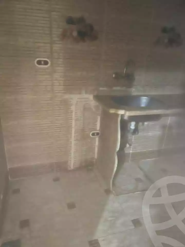 https://aqarmap.com.eg/en/listing/5865484-for-sale-alexandria-l-jmy-el-hanouvel-abo-bakr-el-sedeek-st