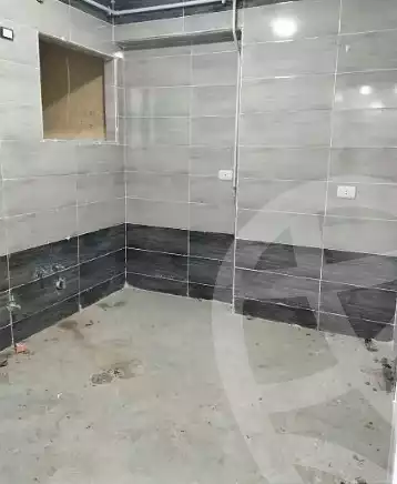 https://aqarmap.com.eg/en/listing/5866453-for-rent-cairo-faisal