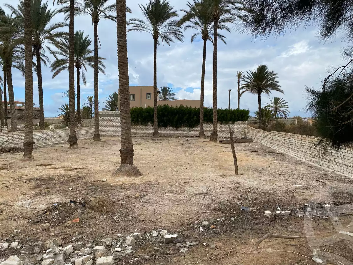 https://aqarmap.com.eg/en/listing/5867819-for-sale-alexandria-king-maryot-taqseem-icl