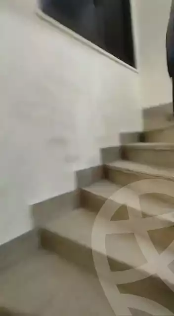 https://aqarmap.com.eg/en/listing/5868574-for-rent-cairo-dokki-mydn-fyny