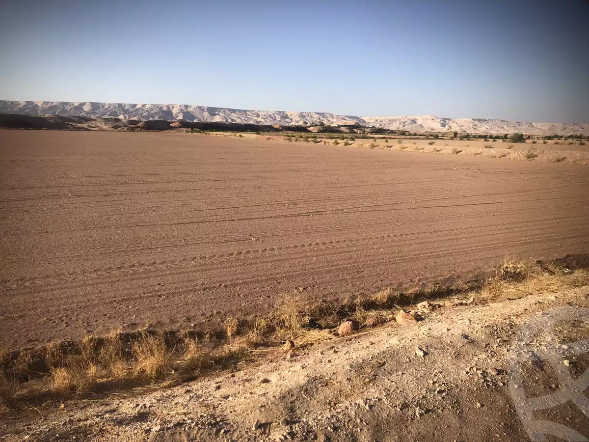 https://aqarmap.com.eg/ar/listing/5870783-for-sale-new-valley-dakhla-oasis-balat