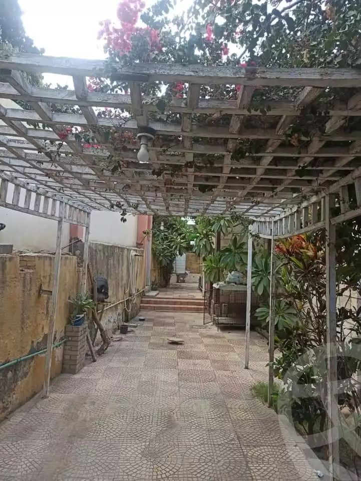 https://aqarmap.com.eg/en/listing/5871253-for-sale-alexandria-l-jmy-lbytsh-shahr-al-assal-st