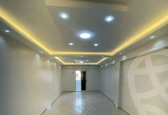 https://aqarmap.com.eg/ar/listing/5871639-for-sale-alexandria-l-jmy-lbytsh-al-samalehy-2-st