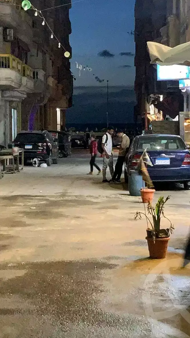 https://aqarmap.com.eg/en/listing/5871905-for-rent-alexandria-el-mandara-zakher-st