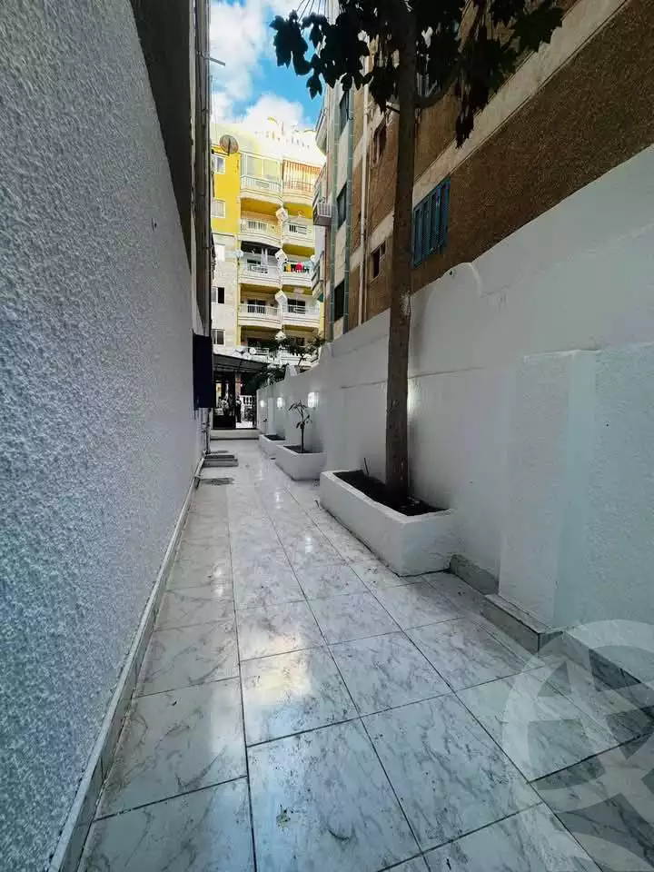 https://aqarmap.com.eg/en/listing/5871938-for-sale-alexandria-l-jmy-shataa-el-nakheel