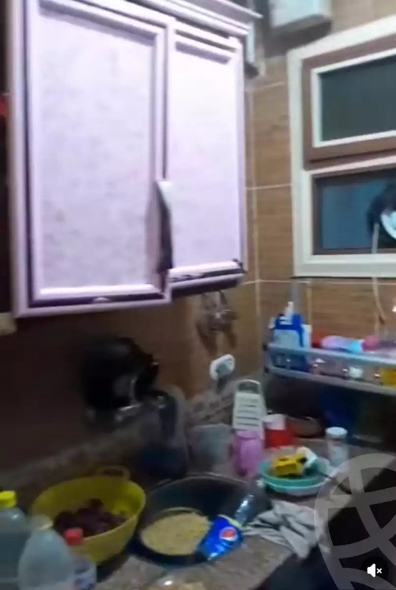 https://aqarmap.com.eg/en/listing/5872061-for-sale-alexandria-l-jmy-el-hanouvel