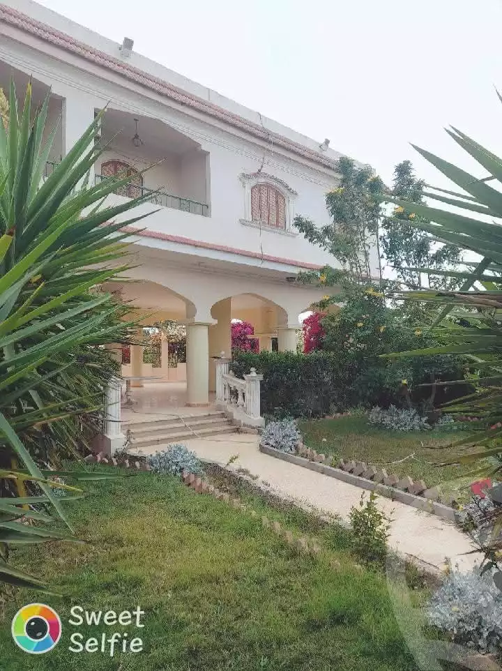 https://aqarmap.com.eg/ar/listing/5874910-for-sale-ismailia-ismailia-city