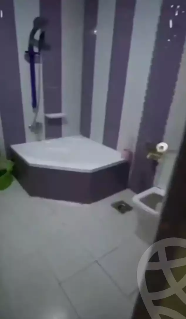 https://aqarmap.com.eg/en/listing/5875438-for-rent-alexandria-l-jmy-lbytsh-bianchiii