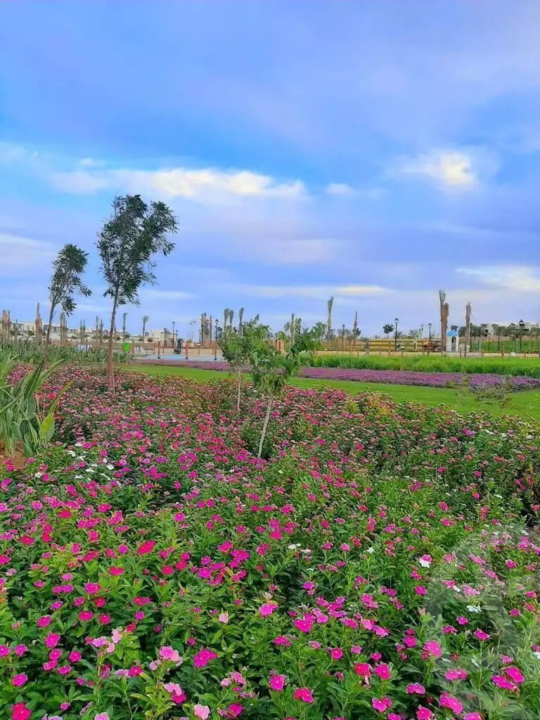 https://aqarmap.com.eg/en/listing/5879670-for-sale-cairo-new-cairo-compounds-hyde-park-greens-hyde-park-compound