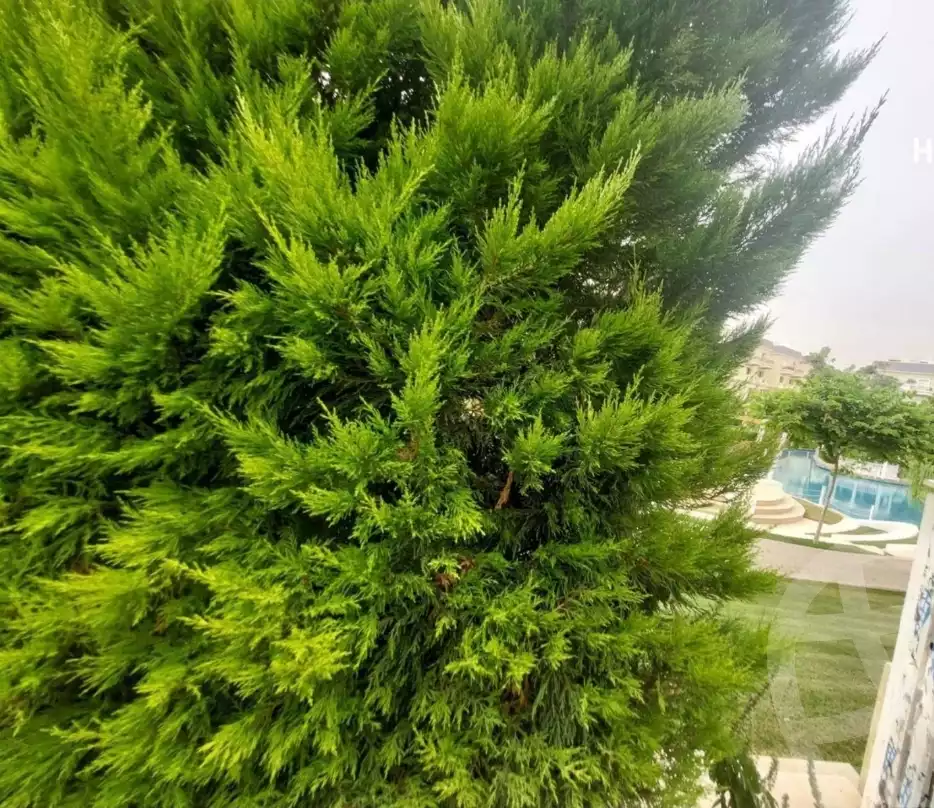 https://aqarmap.com.eg/ar/listing/5882724-for-rent-cairo-6th-of-october-compounds-mountain-view-october-park