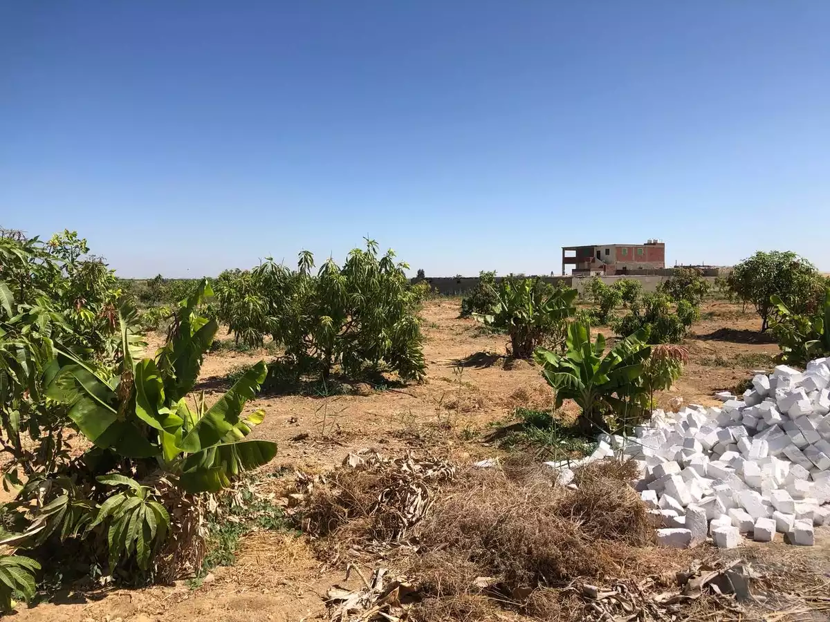 https://aqarmap.com.eg/en/listing/5886440-for-sale-suez-el-ganain-shandoura-village