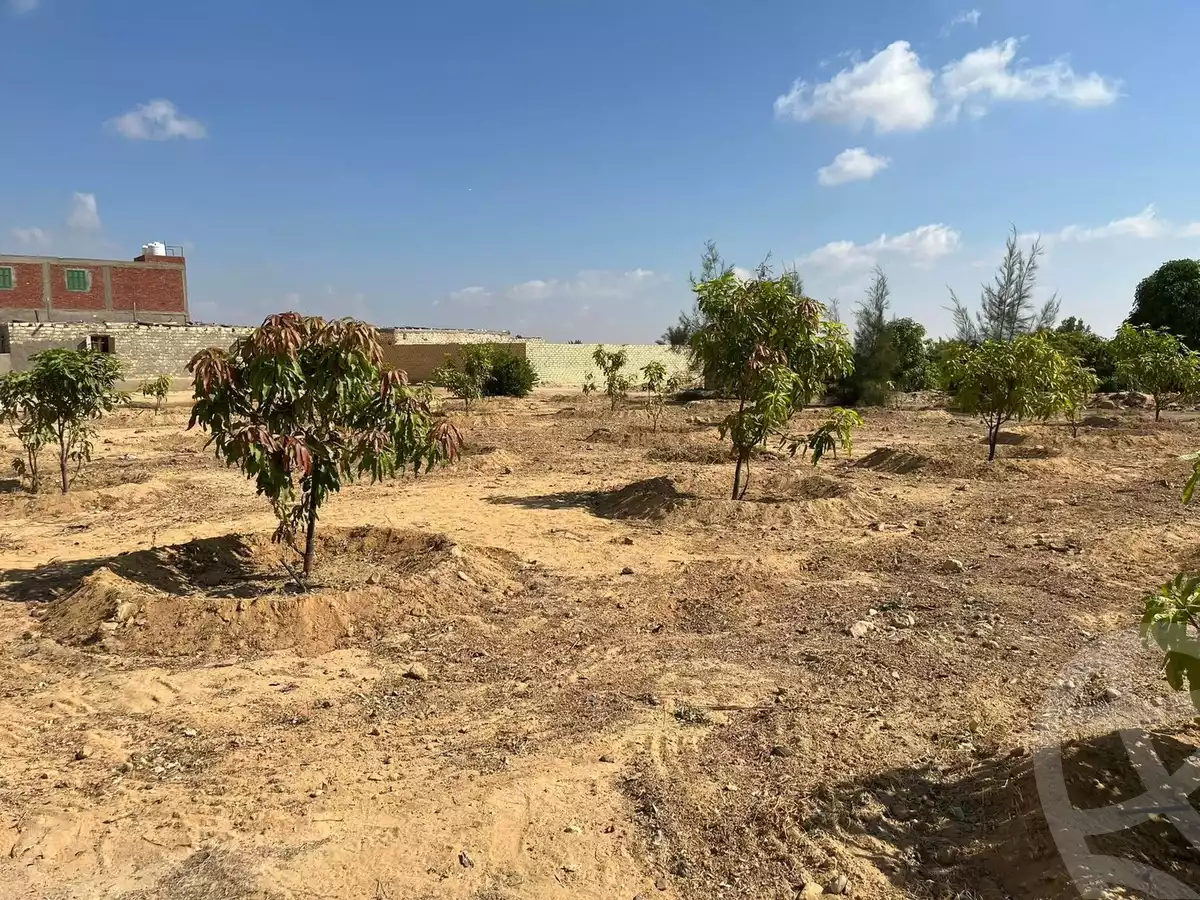 https://aqarmap.com.eg/en/listing/5886440-for-sale-suez-el-ganain-shandoura-village