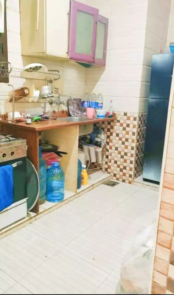 https://aqarmap.com.eg/en/listing/5890544-for-sale-cairo-faisal-hassan-mohamed-st