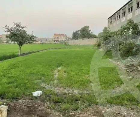 https://aqarmap.com.eg/en/listing/5890725-for-sale-dakahlia-talkha-kafr-damera-el-geded