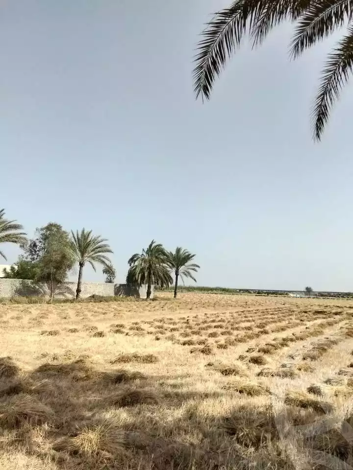 https://aqarmap.com.eg/ar/listing/5890819-for-sale-alexandria-el-amreya