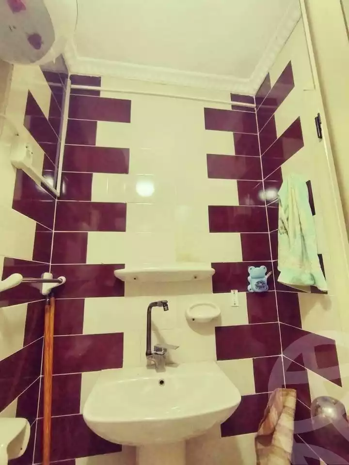https://aqarmap.com.eg/en/listing/5891703-for-sale-alexandria-l-jmy-lbytsh-el-farouk-st