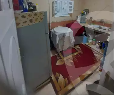https://aqarmap.com.eg/en/listing/5892695-for-sale-alexandria-l-jmy-lbytsh-al-samalehy-2-st