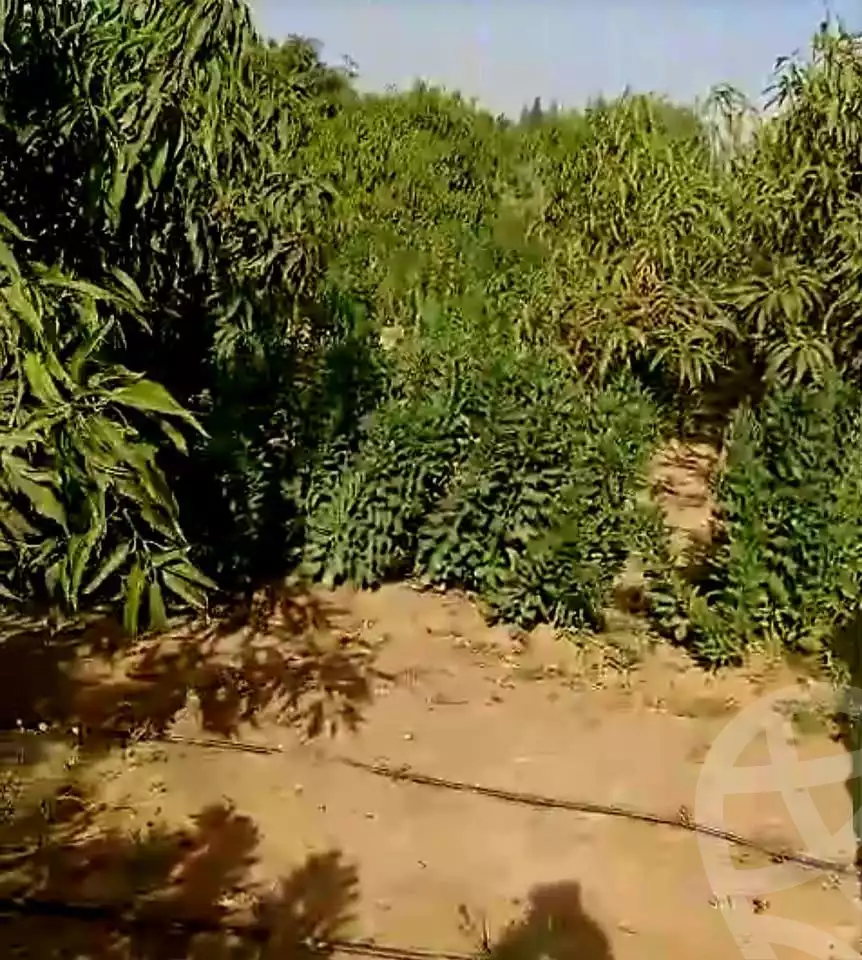https://aqarmap.com.eg/en/listing/5895368-for-sale-beheira-wadi-el-natrun