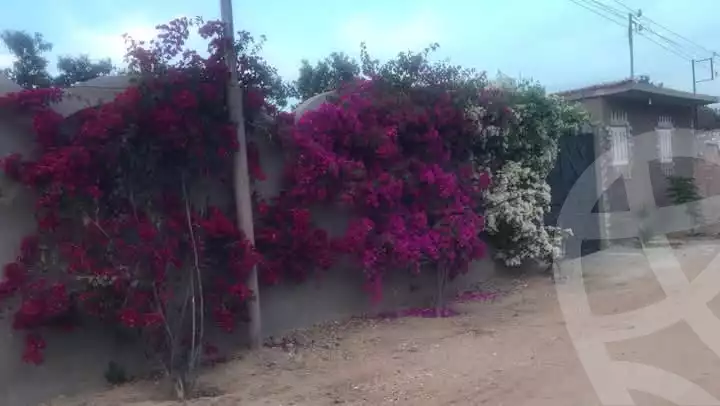 https://aqarmap.com.eg/en/listing/5896519-for-sale-ismailia-ismailia-city