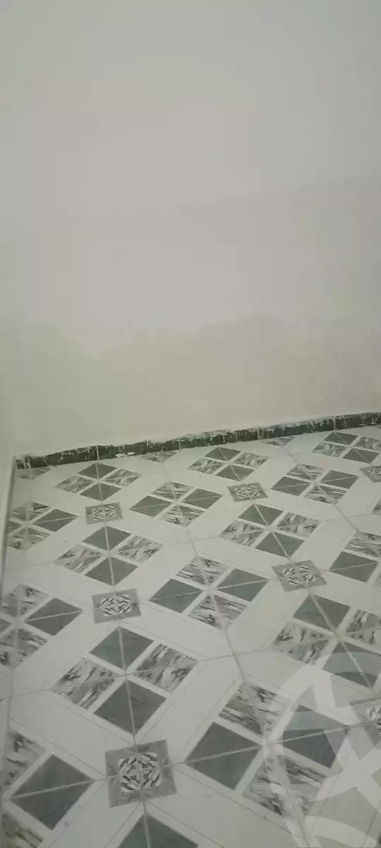 https://aqarmap.com.eg/ar/listing/5896886-for-rent-gharbia-tanta-tanta-city-al-helw-st