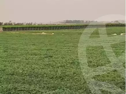 https://aqarmap.com.eg/en/listing/5895430-for-sale-beheira-wadi-el-natrun