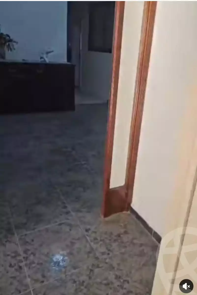 https://aqarmap.com.eg/en/listing/5901276-for-rent-cairo-heliopolis-triumph-square-nakhla-al-motieai-st