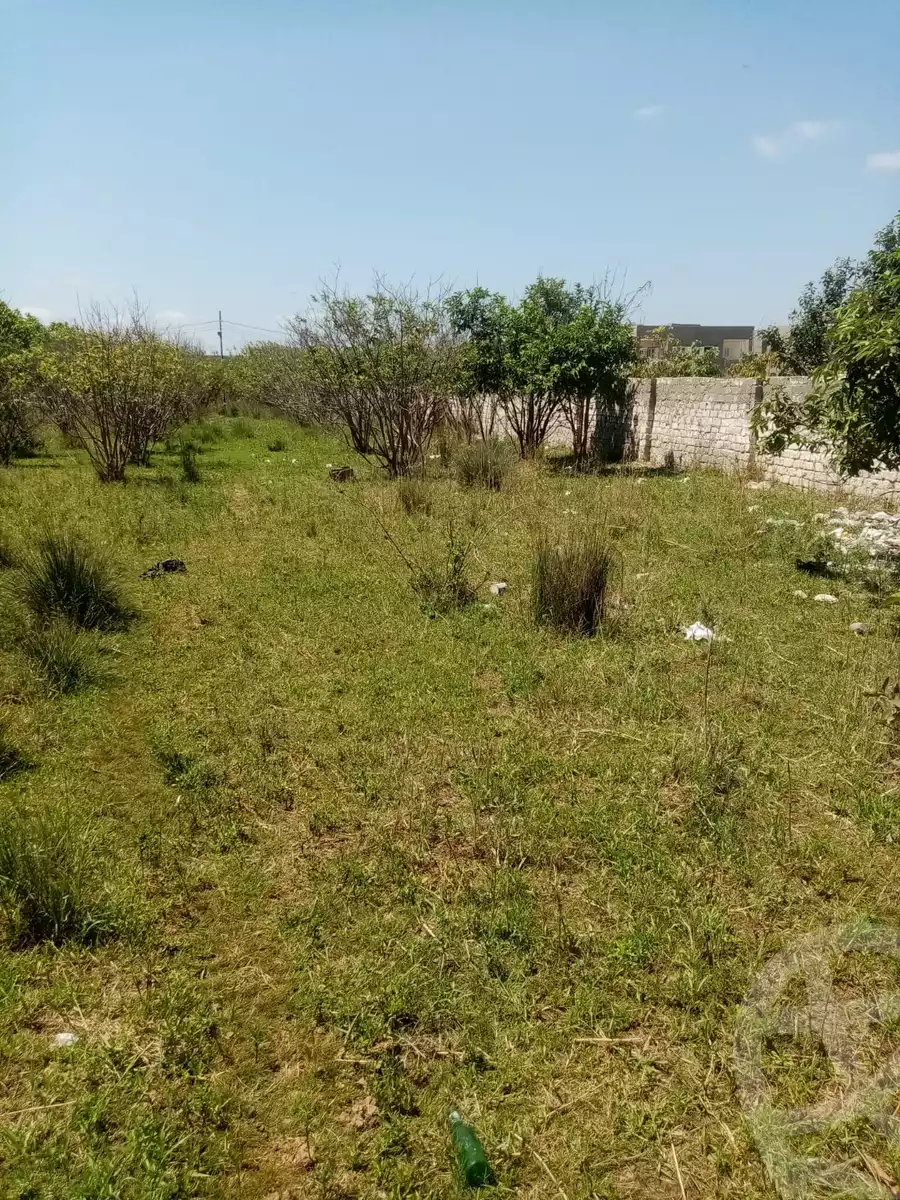 https://aqarmap.com.eg/en/listing/5903432-for-sale-kafr-el-sheikh-burullus-baltim-el-borg-way