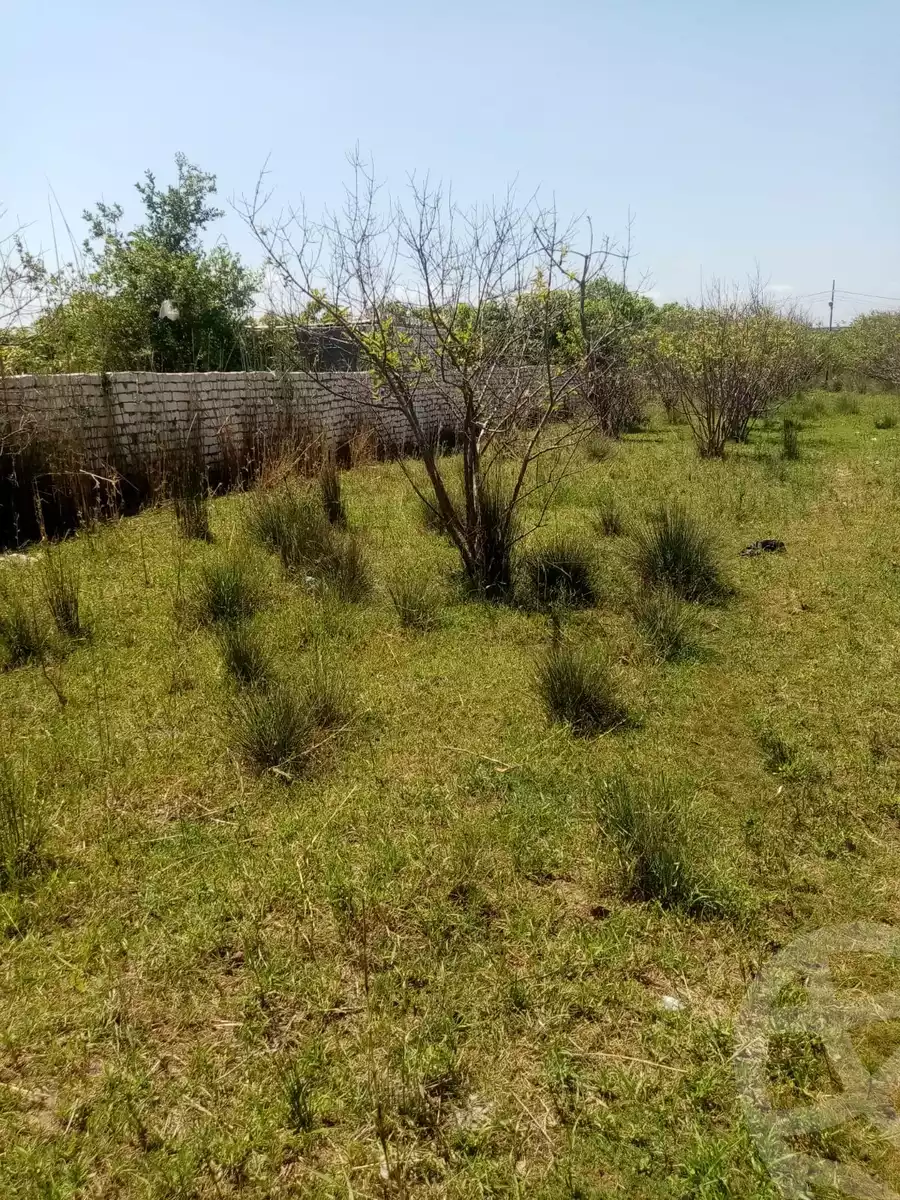https://aqarmap.com.eg/en/listing/5903432-for-sale-kafr-el-sheikh-burullus-baltim-el-borg-way