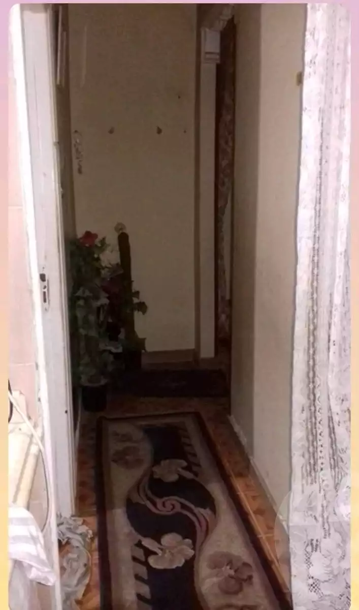 https://aqarmap.com.eg/en/listing/5905650-for-sale-alexandria-l-jmy-el-kilo-21