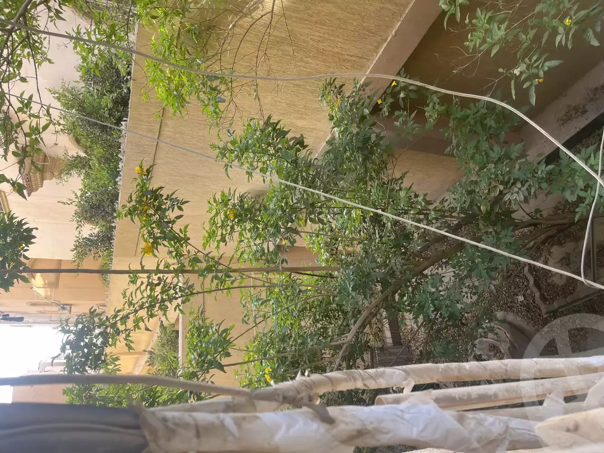 https://aqarmap.com.eg/en/listing/5906102-for-rent-cairo-new-cairo-el-narges-el-narges-3-el-hassan-ibn-el-haitham-st