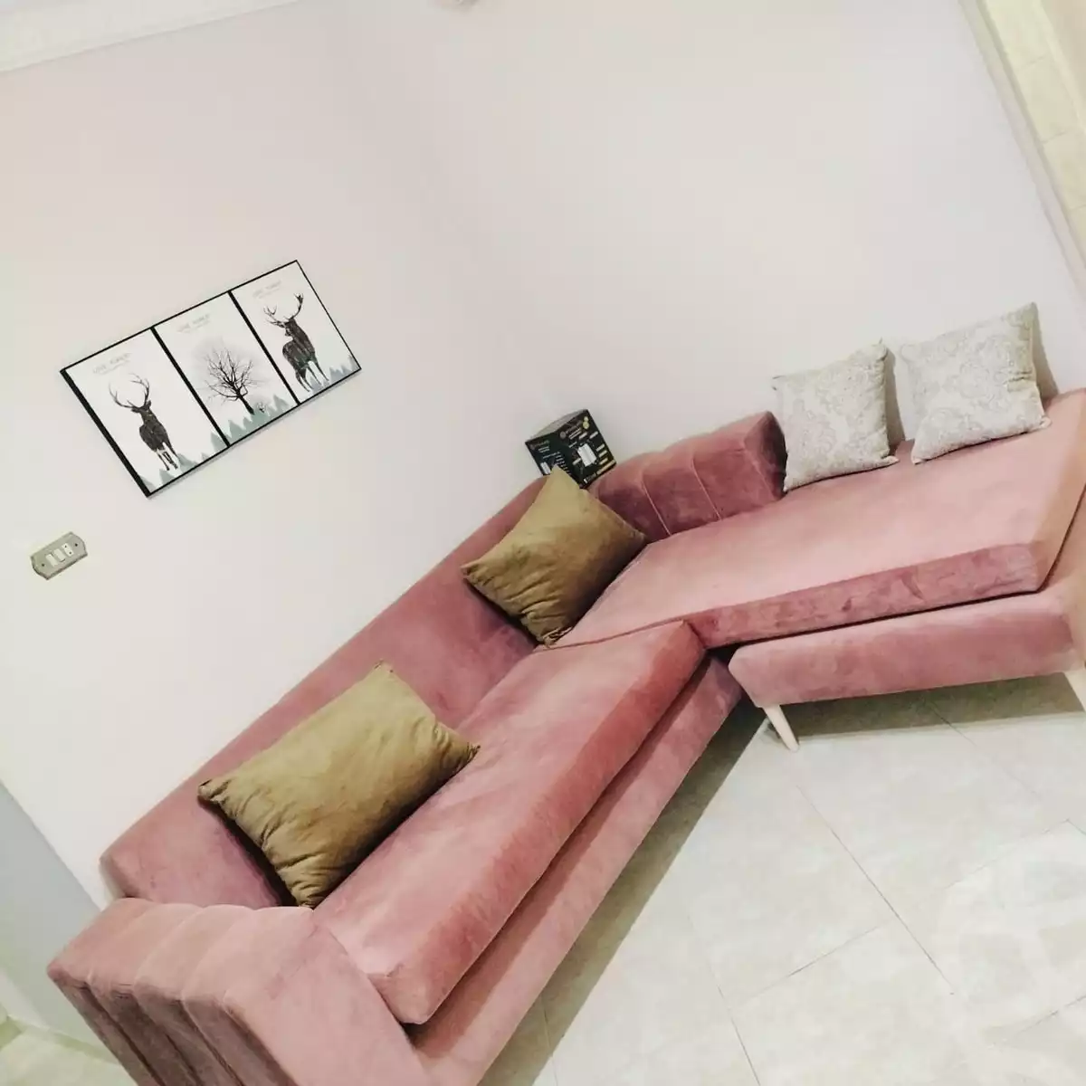 https://aqarmap.com.eg/en/listing/5919050-for-rent-cairo-el-agouza-shaheen-st