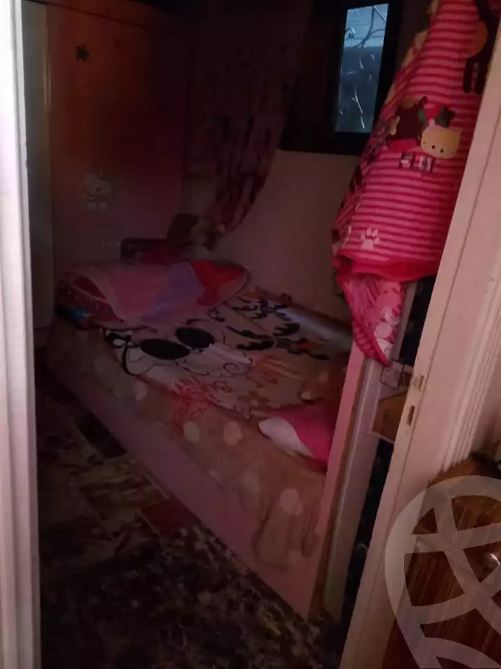 https://aqarmap.com.eg/en/listing/5921624-for-sale-alexandria-l-jmy-el-hanouvel-rich-home-st