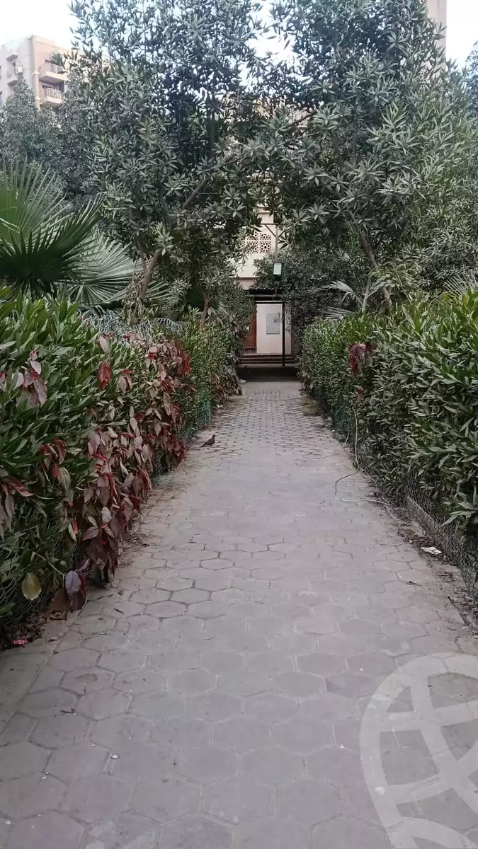 https://aqarmap.com.eg/en/listing/5925850-for-rent-cairo-el-maadi-compounds-darna-compound