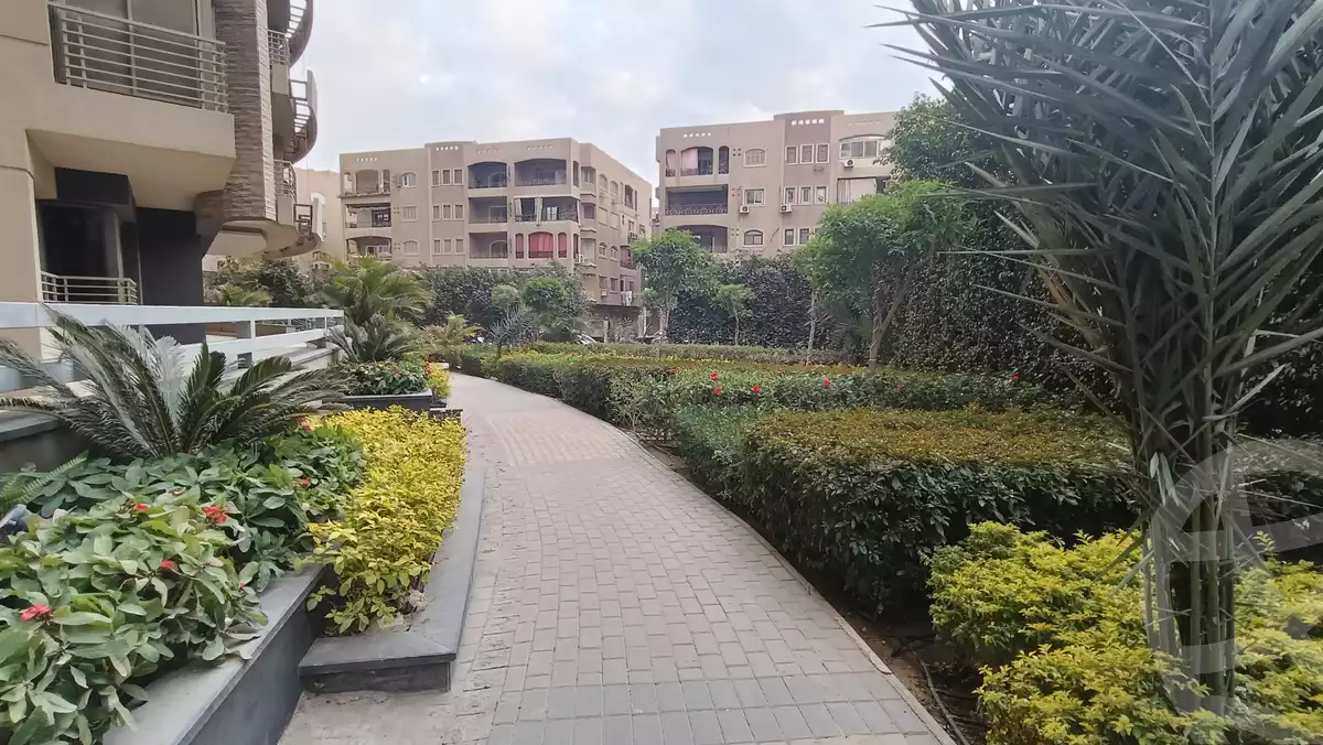 https://aqarmap.com.eg/en/listing/5925850-for-rent-cairo-el-maadi-compounds-darna-compound