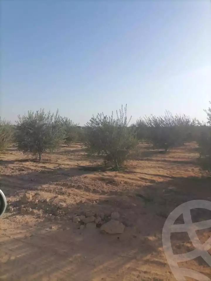 https://aqarmap.com.eg/ar/listing/5926625-for-sale-beheira-wadi-el-natrun